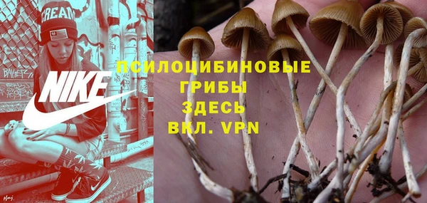 индика Куйбышев