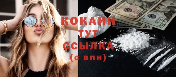 индика Куйбышев