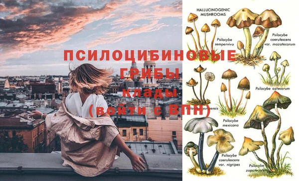 спайс Кулебаки