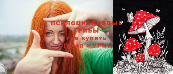 первитин Кукмор