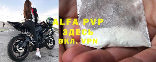 индика Куйбышев