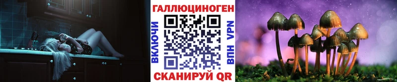 Галлюциногенные грибы Cubensis  Купить где  Нерчинск 